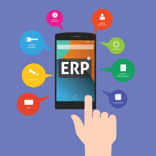 software erp
