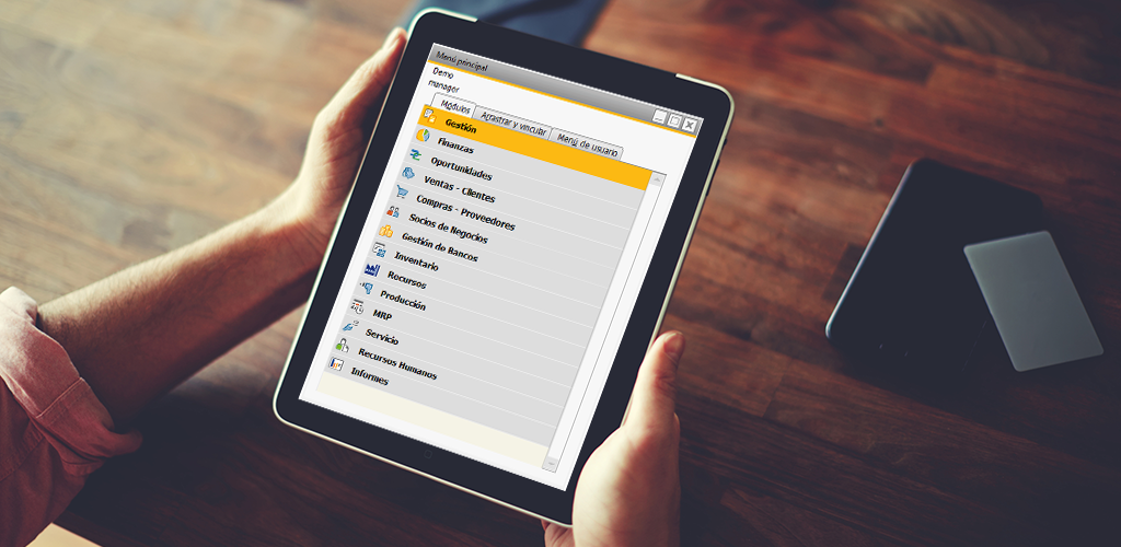 sistemas de gestion empresarial