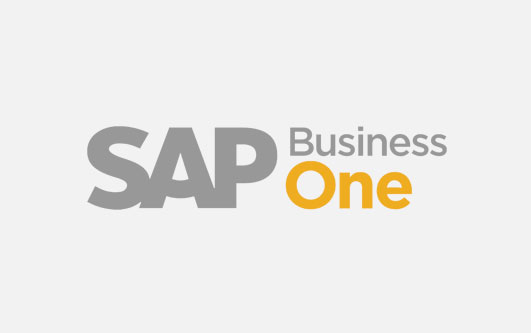 ¿Cómo beneficia SAP Business One a los minoristas modernos?